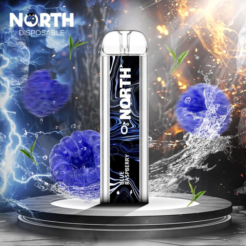 North 5000 0% Blue Raspberry