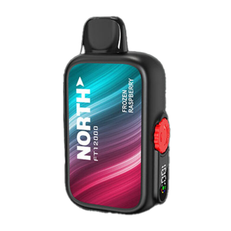 North Vape FT12000 Frozen Raspberry