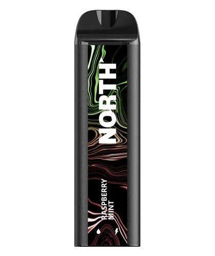 North Vape 5000 Raspberry Mint